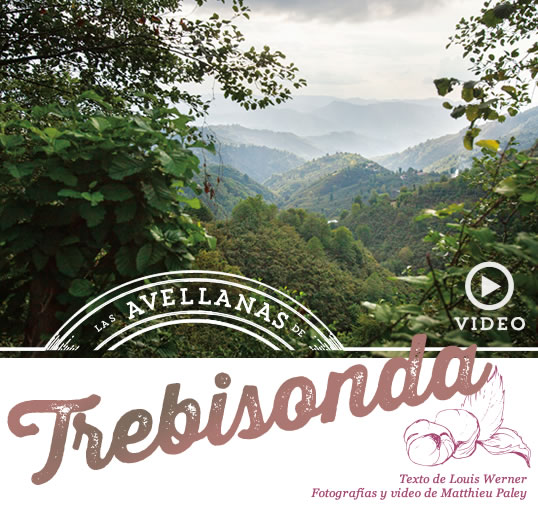 Las avellanas de Trebisonda // Escrito por Louis Werner; fotografías y vídeo de Matthieu Paley