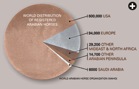 World Distribution of Arabian Horses
