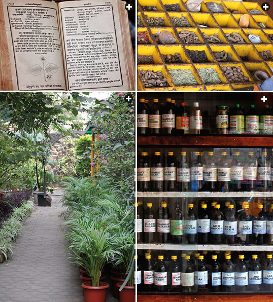 Plants form the basis of Unani treatments. Top-Left: This Unani formulary is written in Urdu, the language common in northwest India and predominant in Pakistan. Top-Right/Above-Right: Loose herbs for compounding and syrups from herbs appear in an Unani pharmacy in Hyderabad, India. Above Left: The herb garden is a centerpiece of the Unani Medical College in Pune.