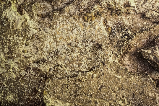 Junto al estarcido de manos más antiguo conocido se encuentra este dibujo, ya desvanecido, de un babirusa (“puerco-ciervo”).