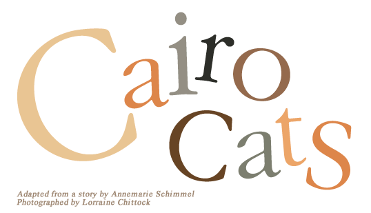 Cairo Cats