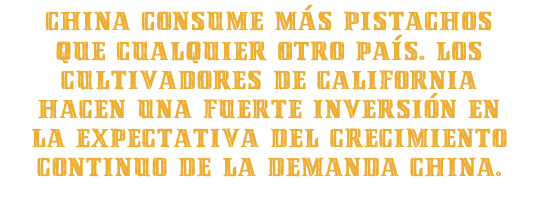 China consume más pistachos que cualquier otro país. Los productores de California una fuerte inversión en la expectativa del crecimiento continuo de la demanda china.