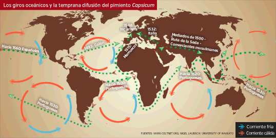 Si bien España se quedó con un mayor territorio, Portugal retuvo Brasil, y desde allí monopolizó la nueva ruta marítima encontrada alrededor de África que dependía del giro del Atlántico Sur.