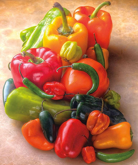 En la actualidad, la mayor parte del pimiento fresco es distribuido por las grandes cadenas internacionales de supermercados y pertenece a variedades del Capsicum annuum.