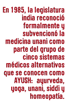 En 1985, la legislatura india reconoció formalmente y subvencionó la medicina unani como parte del grupo de cinco sistemas médicos alternativos que se conocen como AYUSH: ayurveda, yoga, unani, siddi y homeopatía.