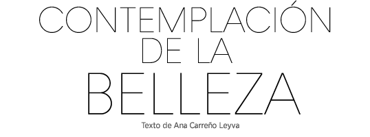Contemplación de la belleza // Texto de ANA CARREÑO LEYVA