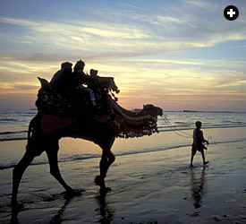 A family takes a camel ride at dusk along Karachi's popular Clifton Beach. 