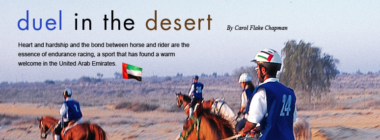 Duel in the Desert - by Carol Flake Chapman