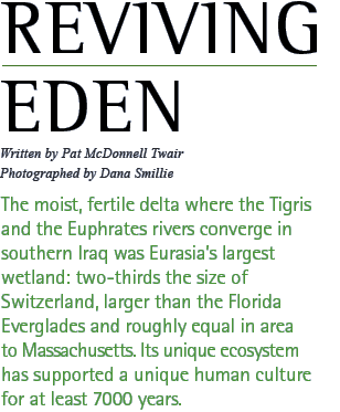 REVIVING EDEN -- Written by Pat McDonnell Twair, Photographed by Dana Smillie -- The moist, fertile delta where the Tigris and the Euphrates rivers converge in southern Iraq was Eurasia’s largest wetland: two-thirds the size of Switzerland, larger than the Florida Everglades and roughly equal in area to Massachusetts. Its unique ecosystem has supported a unique human culture for at least 7000 years.