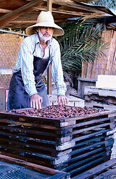 Khadrawy dates are arranged in racks, washed and dried.