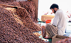 A worker bags khlas dates in the packing shed at the al-Hasa date market.