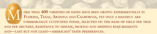 More than 400 varieties of dates have been grown experimentally in Florida, Texas, Arizona and California, yet only a handful are commercially cultivated today, selected on the basis of yield per tree and per hectare, resistance to disease, packing and shipping requirements and—last but not least—americans’ taste preferences. 