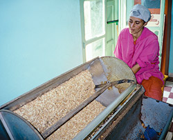 The nuts are then roasted before being pressed. The oil is filtered and bottled; the leftover oilcake is used as animal feed.