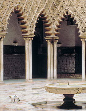 Fountains, tilework and elegantly carved stucco make a courtyard inviting for humans and cats alike.