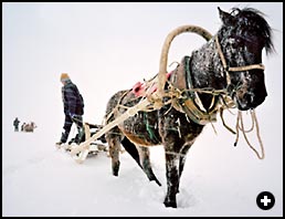 In the remote and snowy territory of the eagle hunters, a horse-drawn sleigh is often the best way to get around. 