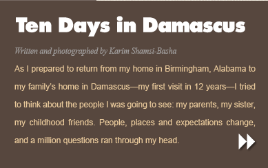 Ten Days in Damascus