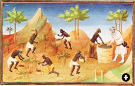 Pepper, shown here being harvested in Coilum in southern India, was one of the most profitable trade items shipped to Europe. However, the romance of the spice trade makes it easy to forget that the bulk of Indian Ocean shipping was devoted to cargoes like rice, hardwoods, tin, iron ore, horses, rope, textiles and other daily essentials.