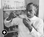 Immunologist Peter Medawar, MD (1915–1987) shared the 1960 Nobel Prize for medicine.
