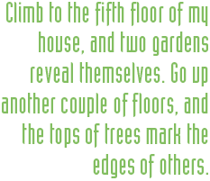 Climb to the fifth floor of my house, and two gardens reveal themselves.  Go up another couple of floors, and the tops of trees mark the edges of others.