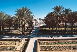 Daouia Farm, foundedin 1985 by Djilali Mehri.
