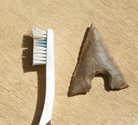 A well-preserved Neolithic arrowhead.