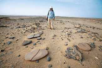 Senior archeologist Mary McDonald of the dop views Neolithic grinding stones in the desert near Dakhleh. From the characteristics of a society’s “tool kit,” archeologists can tell much about the people’s economy and mobility: Sedentary cultures tend to have heavier, more specialized tools; nomadic ones lighter, multipurpose or disposable tools.