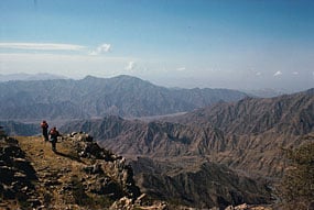 In Saudi Arabia, the ‘Asir mountains mark the northern boundary of orchid habitats. 