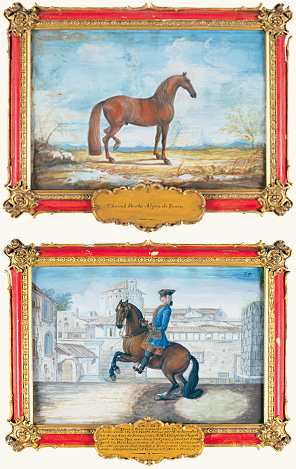 Two watercolor portraits of horses at the Spanish Riding School show “Alzan de Tunis” and an unnamed horse performing a levade in St. Mark’s Square, Florence. “Without doubt, the Spanish Horse is the best horse in the world for equitation,” wrote Baron Reis d’Eisenberg, a prolific painter of horses and author in 1759 of l’Art de monter à cheval (The Art of Horsemanship). 