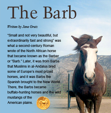 The Barb - Written by Jane Grutz