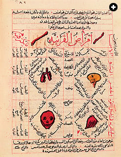 This page from a 14th-century copy of Avicenna’s five-volume Canon of Medicine describes several internal organs, as well as the skull and bones. The Canon was a compilation of Greek and Islamic medical knowledge.