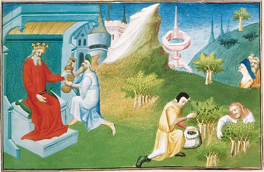 Pepper was once a gift fit for kings; above, a French manuscript illustration from the early 15th century shows both harvesting and royal presentation. 