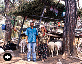 A Yörük couple, Ari and Hüriye Bilge, in the hills near Bodrum. Yörüks migrate to and from well-defined mountain pasturelands that “belong” to their group; they are thus technically “transhumants” rather than nomads or semi-nomads. 