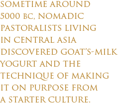 Sometime around 5000 BC, nomadic pastoralists living in Central Asia discovered goat’s-milk yogurt and the technique of making it on purpose from a starter culture.
