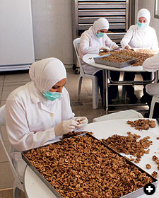 Workers painstakingly crack and clean walnuts.