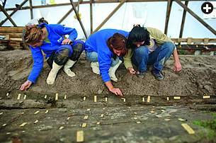 Archeology students mark planks before they are removed for  conservation and eventual reassembly and museum display.