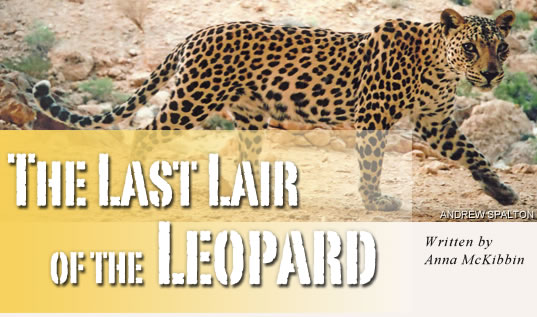 The Last Lair of the Leopard - Written by Anna McKibbin