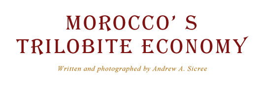 Morocco’s Trilobite Economy - Written and photographed by Andrew A. Sicree