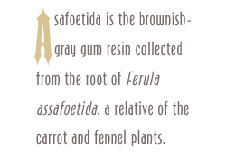 Asafoetida is the brownish-gray gum resin collected from the root of Ferula assafoetida, a relative of the carrot and fennel plants.