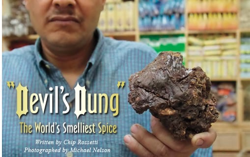 Devil's Dung: The World's Smelliest Spice