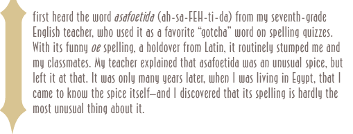I first heard the word asafoetida (ah-sa-feH-ti-da) from my seventh-grade English teacher, who used it as a favorite “gotcha” word on spelling quizzes. With its funny oe spelling, a holdover from Latin, it routinely stumped me and my classmates. My teacher explained that asafoetida was an unusual spice, but left it at that. It was only many years later, when I was living in Egypt, that I came to know the spice itself—and I discovered that its spelling is hardly the most unusual thing about it.