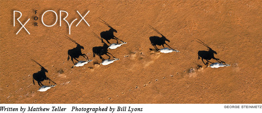 Rx for Oryx - Written by Matthew Teller, Photographed by Bill Lyons