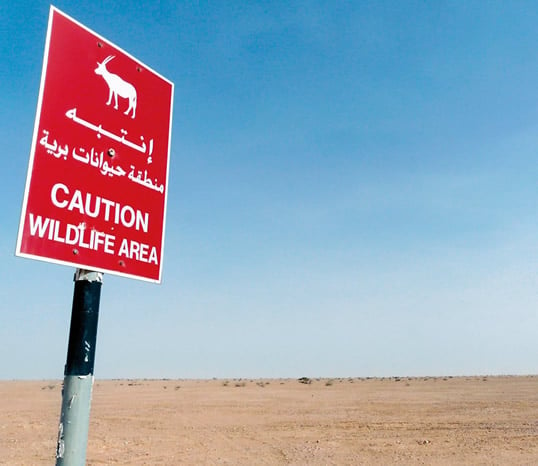 Caution Wildlife Area