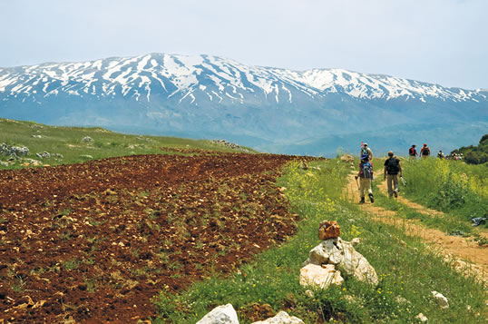 In the Bekaa Valley, hikers walk toward the town of Rachaiya; Mt. Hermon is in the background