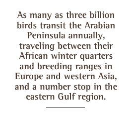 As many as three billion birds transit the Peninsula annually, traveling between their African winter quarters and breeding ranges in Europe and western Asia, and a number stop in the eastern Gulf region.
