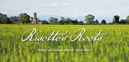 Risotto’s Roots - Written and photographed by Jeff Koehler