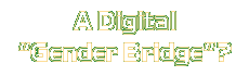 A Digital "Gender Bridge"?