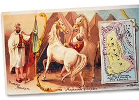 Beginning in the 1890’s, Arbuckle Bros. began to entice buyers by including in its packages of coffee peppermint sticks, discount coupons and hundreds of trading cards. Three sets of geographical cards included 21 that depicted Arab and Middle Eastern lands. 