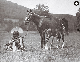 Wadduda—whose name, Hafiz explained to Davenport, means “love” or “affection”—was Hafiz’s original gift to Davenport, along with the services of her groom, Said Abdullah, who returned with Davenport to care for the horses at the Davenport Desert Arabian Stud in Morris Plains, New Jersey, where this photo was made.