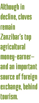 Although in decline, cloves remain Zanzibar’s top agricultural money-earner—and an important source of foreign exchange, behind tourism.