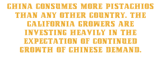 China consumes more pistachios than any other country. The California growers are investing heavily in the expectation of continued growth of Chinese demand.